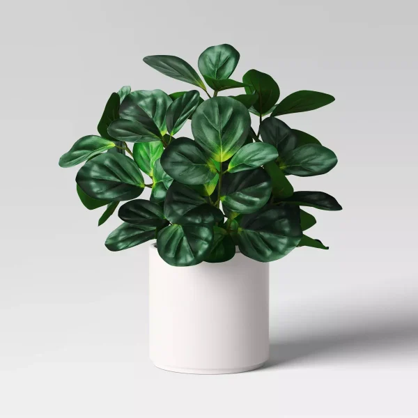 Green Leaf Plant in White Pot