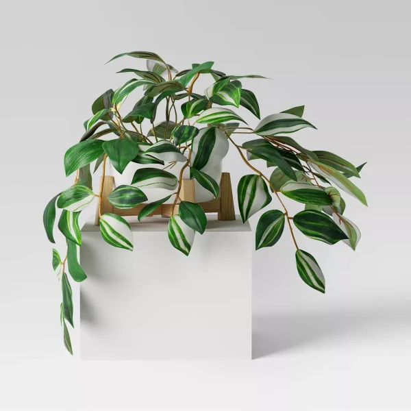 Trailing Plant in Wood Planter
